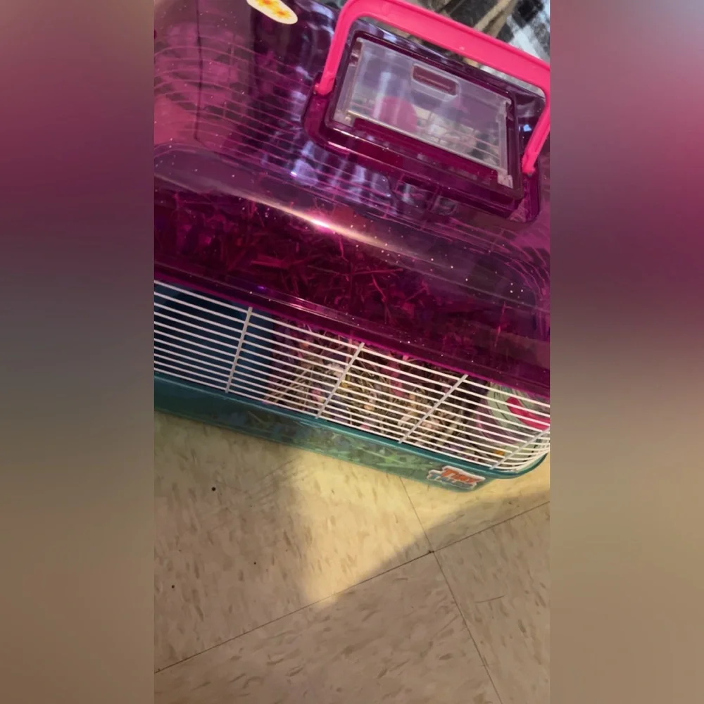Hamster cages